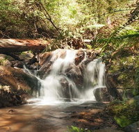 Discover Tour Dandenong Ranges  William Ricketts Sanctuary - Tourism Gold Coast