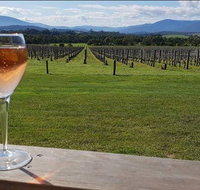 Yarra Valley 7 Hours Guided Wine Tour with 2-Course Lunch - Tourism Gold Coast