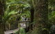 Great Ocean Road And Otway National Park Sightseeing Day Tour - thumb 2