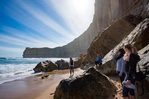 Great Ocean Road And Otway National Park Sightseeing Day Tour - Tourism Gold Coast 5
