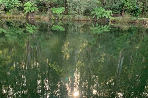 Hiking Tour To Aqueduct And Warburton Valley Lookout - Tourism Gold Coast 2