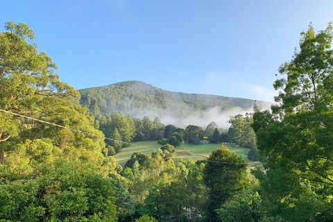 Hiking Tour To Aqueduct And Warburton Valley Lookout - Tourism Gold Coast 0