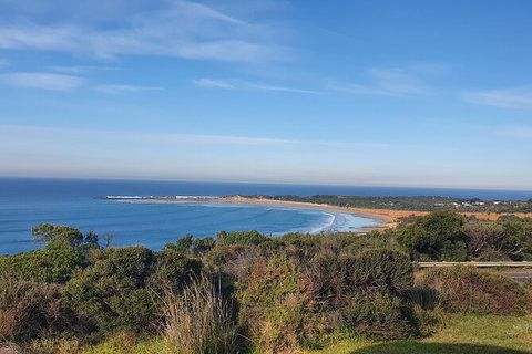 Private Great Ocean Road And Chocolaterie Tour With Tasting - Tourism Gold Coast 5