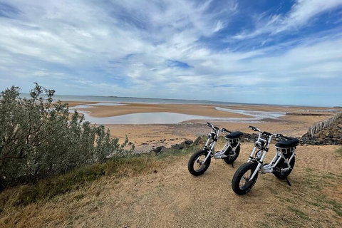 E-Bike Hire Super Cruzer In Phillip Island - Tourism Gold Coast 3