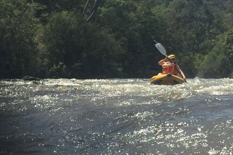 Yarra River Half-Day Rafting Experience - Tourism Gold Coast 5