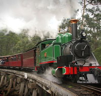 Puffing Billy Wildlife Sanctuary  Penguins Day Tour from Melbourne - Tourism Gold Coast