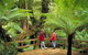 Great Ocean Road & Phillip Island Overnight Tour - thumb 12