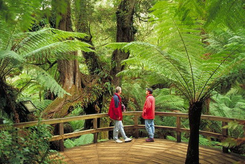 Great Ocean Road & Phillip Island Overnight Tour - Tourism Gold Coast 12