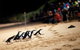 Great Ocean Road & Phillip Island Overnight Tour - thumb 6