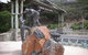 Great Ocean Road & Phillip Island Overnight Tour - thumb 13