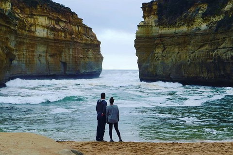 Great Ocean Road & Phillip Island Overnight Tour - Tourism Gold Coast 9