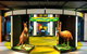 3/4 Day Sports Lovers Bus Tour Of Melbourne With Tour Options - thumb 8