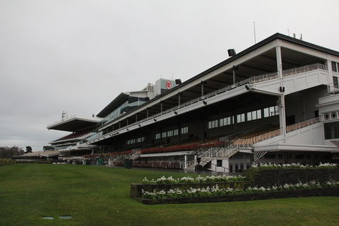 Ultimate Sports Lovers Bus Tour Of Melbourne - Tourism Gold Coast 10