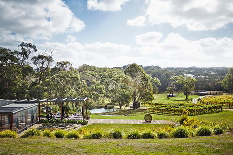 Mornington Peninsula 2-6 Guests Lunch, Wine And Pt Leo Estate Art Walk - Gold Coast 2