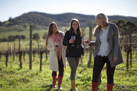 Yarra Valley Premium Tour Inc Lunch And Cheese And Wine Pairing At De Bortoli - Tourism Gold Coast 2