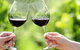 Yarra Valley Premium Tour Inc Lunch And Cheese And Wine Pairing At De Bortoli - thumb 4
