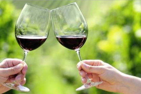 Yarra Valley Premium Tour Inc Lunch And Cheese And Wine Pairing At De Bortoli - Tourism Gold Coast 4