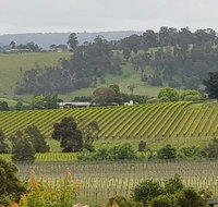 Yarra Valley Wine Tasting Day Tour from Melbourne - Tourism Gold Coast