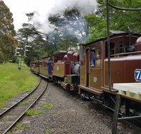 Dandenong Ranges and Rayners Orchard Tour from Melbourne - Tourism Gold Coast