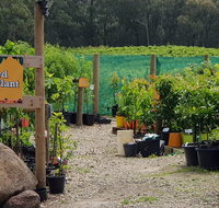 Yarra Valley Wineries and Rayners Orchard Tour from Melbourne - Tourism Gold Coast