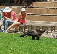 Healesville Sanctuary and Rayners Orchard Tour from Melbourne - Tourism Gold Coast