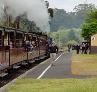 Day Tour of Yarra Valley Puffing Billy and Rayners Orchard - Tourism Gold Coast