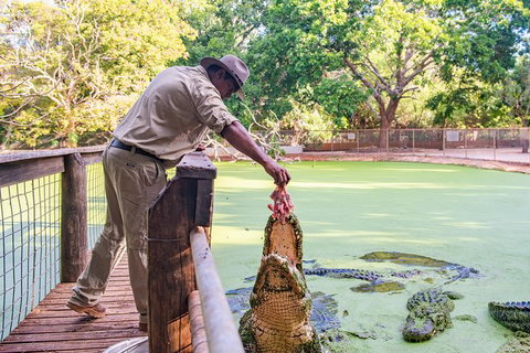 Malcolm Douglas Crocodile Park - Tourism Gold Coast 3