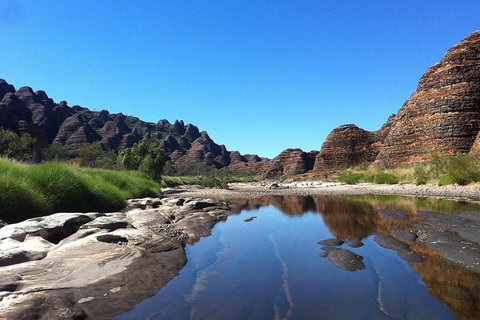 Bungle Bungle Day Trip From Broome - Fly, 4WD, Walk - Tourism Gold Coast 2