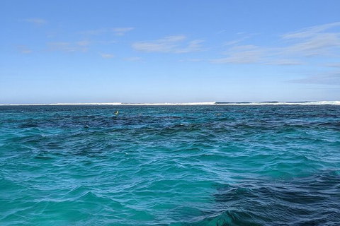 Marine Eco Safari - Swim With Manta Rays - Tourism Gold Coast 2