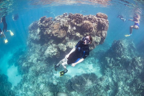 Coral Bay 2-Hour Coral Viewing And Snorkeling - Tourism Gold Coast 3