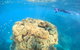Coral Bay 2-Hour Coral Viewing And Snorkeling - thumb 4