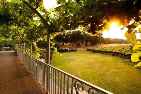 Busselton And Scenic Drive Full Day Tour - Tourism Gold Coast 9