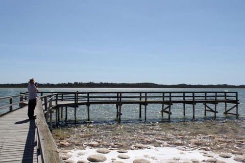 Busselton And Scenic Drive Full Day Tour - Tourism Gold Coast 5