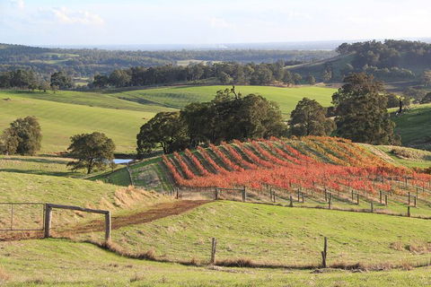 Ferguson Valley Full Day Tour - Tourism Gold Coast 0