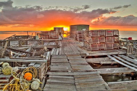 Abrolhos Islands 3 Day Fishing Charter - Tourism Gold Coast 5