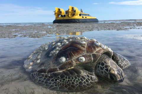 Prehistoric Bubbles And Nibbles Hovercraft Tour - Tourism Gold Coast 2