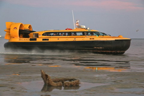 Prehistoric Bubbles And Nibbles Hovercraft Tour - Tourism Gold Coast 4