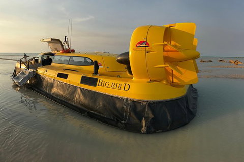 Prehistoric Bubbles And Nibbles Hovercraft Tour - Tourism Gold Coast 0