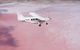 Pink Lake + Abrolhos Islands Nature Tour - thumb 3