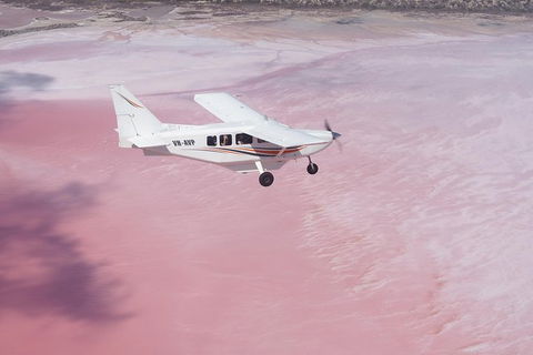 Pink Lake + Abrolhos Islands Nature Tour - Tourism Gold Coast 3