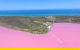 Pink Lake + Abrolhos Islands Nature Tour - thumb 0