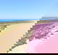 Pink Lake  Abrolhos Islands Scenic Flight - Tourism Gold Coast