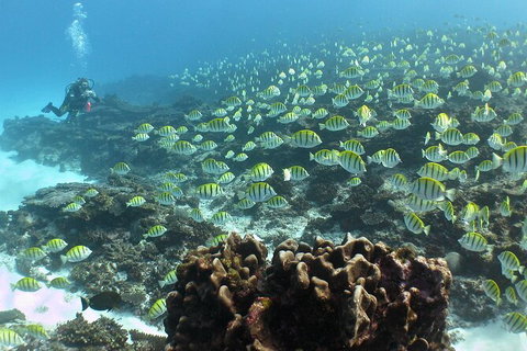 5 Night Ningaloo Reef Ningaloo Escape From Coral Bay - Tourism Gold Coast 5