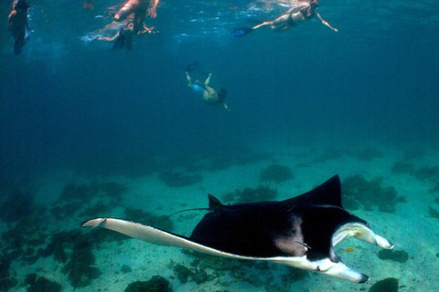 5 Night Ningaloo Reef Ningaloo Escape From Coral Bay - Tourism Gold Coast 1