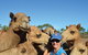 Broome Pre-sunset Camel Tour 30 Minutes - thumb 3