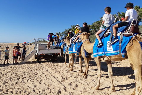 Broome Pre-sunset Camel Tour 30 Minutes - Tourism Gold Coast 4
