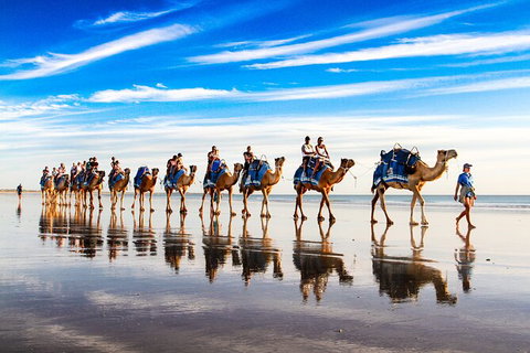 Broome Pre-sunset Camel Tour 30 Minutes - Tourism Gold Coast 0