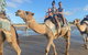 Broome Pre-sunset Camel Tour 30 Minutes - thumb 2