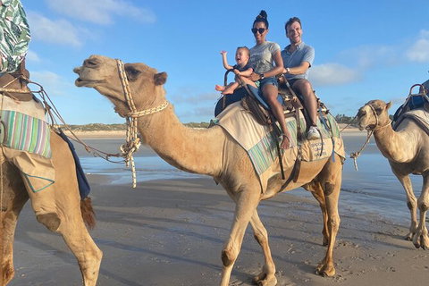 Broome Pre-sunset Camel Tour 30 Minutes - Tourism Gold Coast 2