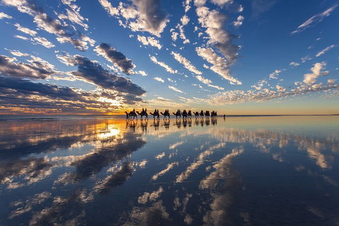 Broome Pre-sunset Camel Tour 30 Minutes - Tourism Gold Coast 1